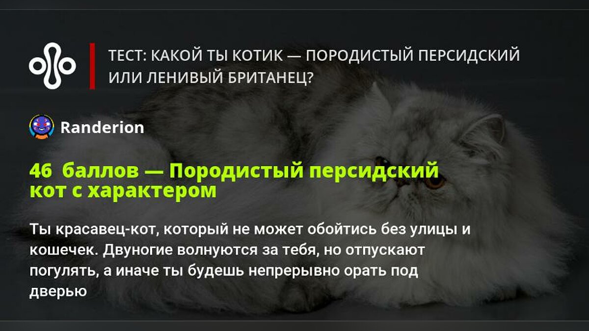 Тест: какой ты котик — породистый персидский или ленивый британец?