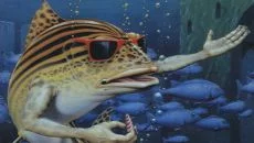 Fish - дата выхода для ZX Spectrum