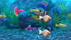 Fish Tycoon - игра для Windows Mobile