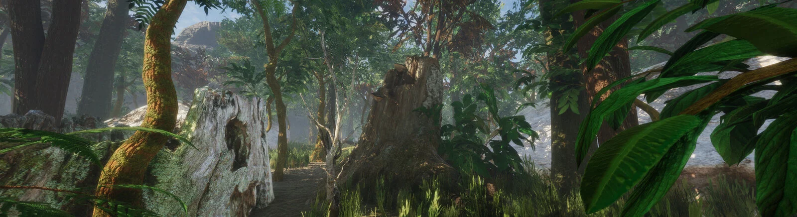 Купить Forest (1983) дешево, скидки до -90%, сравнение цен в разных магазинах Купить Forest (1983) дешево, скидки до -90%, сравнение цен в разных магазинах