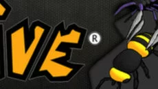 Hive