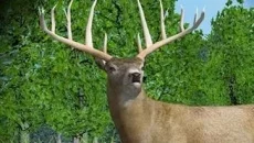 Hunting Unlimited 2010 - дата выхода