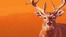 Hunting Unlimited 3