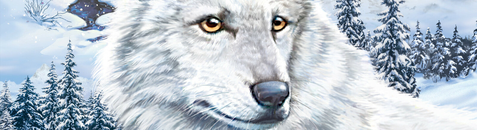 Дата выхода Nancy Drew: The White Wolf of Icicle Creek (Nancy Drew 16)  на PC и Wii в России и во всем мире