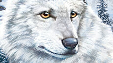 Nancy Drew: The White Wolf of Icicle Creek - дата выхода на Windows 3.x 