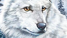 Nancy Drew: The White Wolf of Icicle Creek - дата выхода для Wii