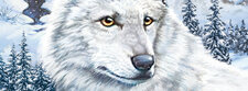 Nancy Drew: The White Wolf of Icicle Creek - дата выхода на PC 