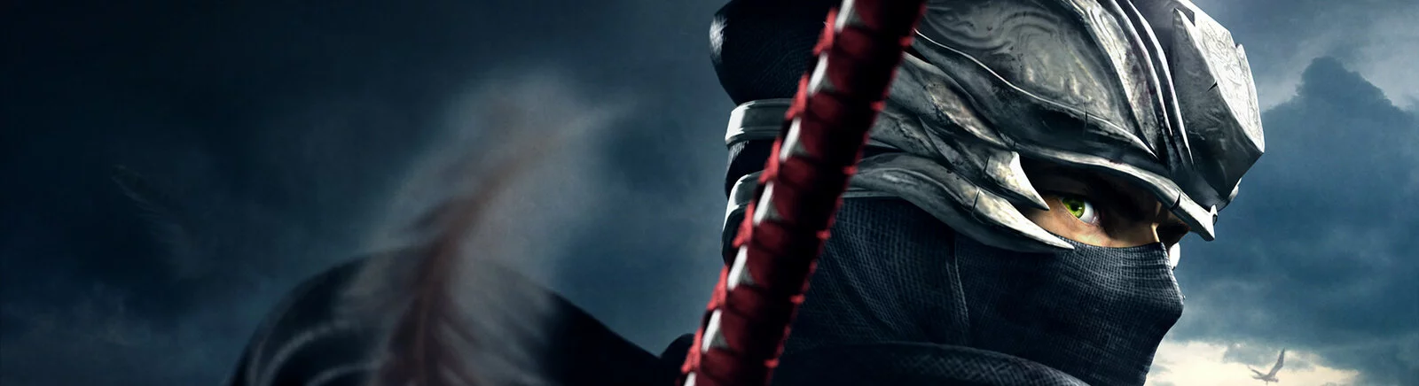 Статьи Ninja Gaiden 2 - обзор, превью, мнения
