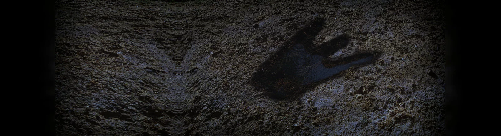 Позитивные отзывы о Project-X — 0 мнений