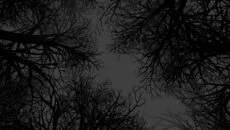 Witch Hunt - дата выхода для PlayStation 3