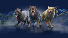 Wolf - игра в жанре Симулятор