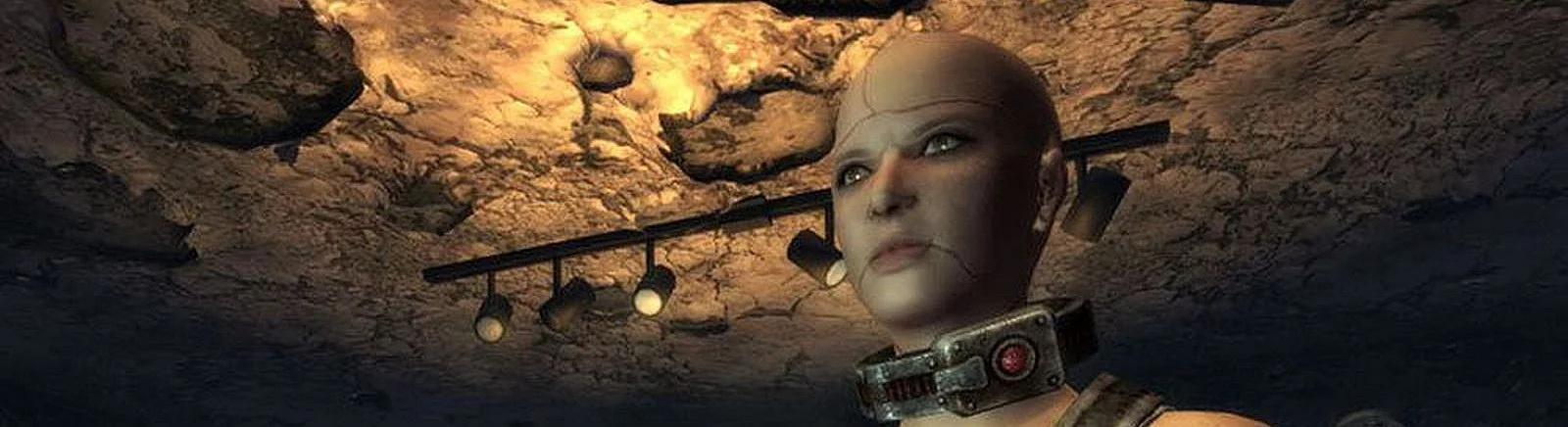 Форум Fallout: New Vegas - Dead Money