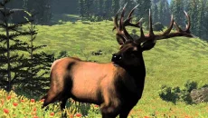 Cabela's North American Adventures - дата выхода для PSP