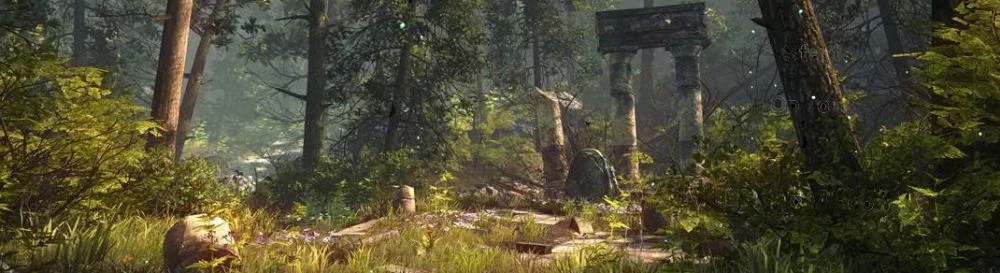 The Forest — Трейнер/Trainer (+6) [0.67c] {Kalas} / Трейнеры / Читы