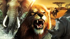Cabela's African Adventures - дата выхода для Wii