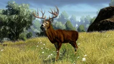 Cabela's Outdoor Adventures - дата выхода для PlayStation 2