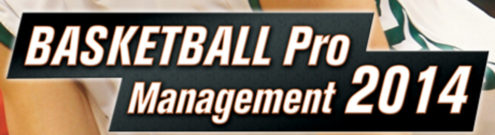 Дата выхода Basketball Pro Management 2014  на PC в России и во всем мире