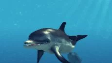 Depth Hunter 2: Deep Dive - игра в жанре Охота / рыбалка