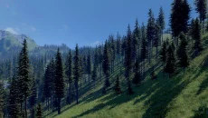 Medieval Engineers