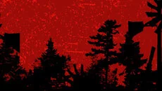 PaperMan - дата выхода для PC