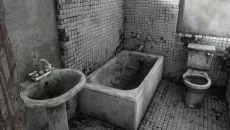 The Park похожа на The Park