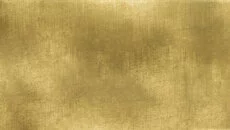 Revolution Under Siege Gold - дата выхода