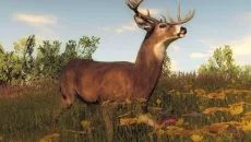 theHunter похожа на theHunter