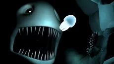 Seashine - дата выхода