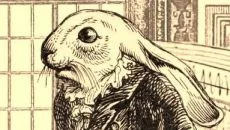 Aviary Attorney - дата выхода для Nintendo Switch 2