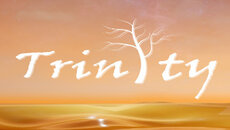 Trinity: Souls of Zill O'll - дата выхода для PlayStation 3