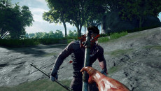Culling похожа на Half-Life