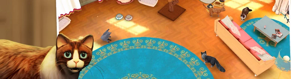 Позитивные отзывы о Cat Hotel (CatHotel) — 0 мнений