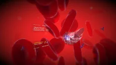 VEV: Viva Ex Vivo - дата выхода для PlayStation 4