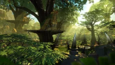 Feral Rites