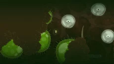 Ecotone - игра в жанре Аркада