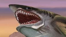 Hungry Shark Evolution похожа на Hungry Shark Evolution