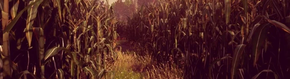 Купить Maize дешево, скидки до 90% 🏷️, сравнение цен в разных магазинах