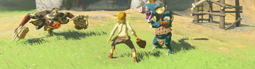 Моды и скины для The Legend of Zelda: Breath of the Wild