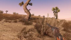 Sunset Rangers - игра в жанре Вид от третьего лица