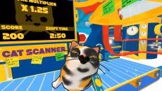 Cat Sorter VR - игра в жанре Виртуальная реальность (VR)