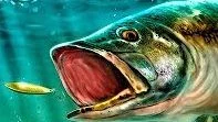 Ultimate Fishing Simulator