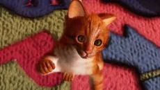 Max and Maya: Cat simulator