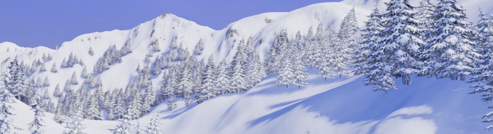 Дата выхода The Snowboard Game  на PC в России и во всем мире