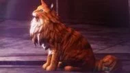 Bubsy: Paws on Fire! похожа на Bubsy: Paws on Fire!