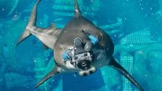 Realm Royale похожа на Realm Royale