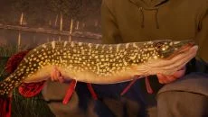 Fishing Sim World: Pro Tour - дата выхода для Xbox