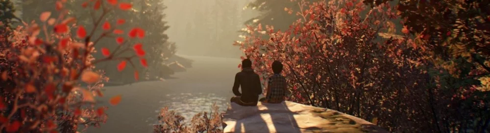 Life is Strange 2 - Episode 1: Roads - последние новости сегодня (сентябрь 2025) - взлом защиты, системные требования, новости обновлений, где скачать игру, трейлер