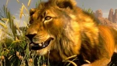 Cabela's Hunting Expeditions - дата выхода для Wii