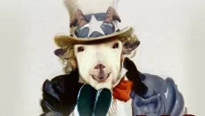 Goat of Duty - дата выхода для PC