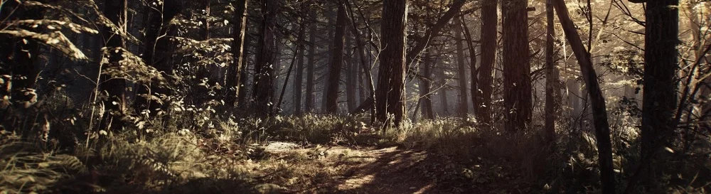 Blair Witch - последние новости сегодня (август 2025) - взлом защиты, системные требования, новости обновлений, где скачать игру, трейлер